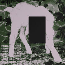 lamb